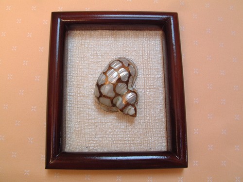 Kunstobjekt shell arts - arts,