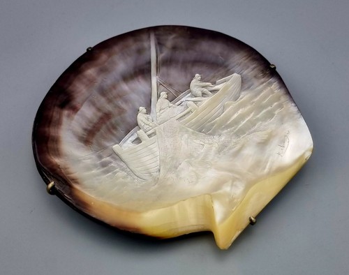 Muschel schale schiff meer - muschel,
